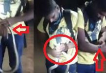 வெறும் கையால் நாகப் பாம்பை பிடித்த இளைஞன்..! அடுத்த நொடி அரங்கேறிய பகீர் சம்பவம்!