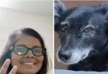 உயிராக வளர்த்த உரிமையாளர் மரணம்.. சோகத்தில் தற்கொலை செய்துகொண்ட நாய்..!