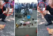 கொடிய விஷப் பாம்பு கடித்தாலும்… நாகப் பாம்பை வைத்து நிரூபிக்க முயன்ற நபருக்கு நேர்ந்த கதி! பதறி போன மக்கள்!!