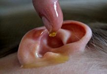 உயிர் போகும் காது வலியா? இந்த இலையின் ஒரு துளி சாறு போதும்…. அடுத்த நொடியில் வலி மாயமாகிவிடும்!