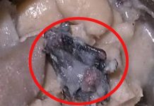 மூன்று நாட்கள் கழித்து உணவக சூப்பில் தென்பட்ட அருவருக்கத்தக்க பொருள்! குடும்பமே அலண்டு ஓடிய அதிர்ச்சி…!!