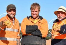 பூமியில் தங்கவேட்டையில் ஈடுபட்ட 2 பேருக்கு கிடைத்த 1.87 கோடி ரூபாய் மதிப்பிலான தங்க கட்டிகள்! எந்த நாட்டில் தெரியுமா?