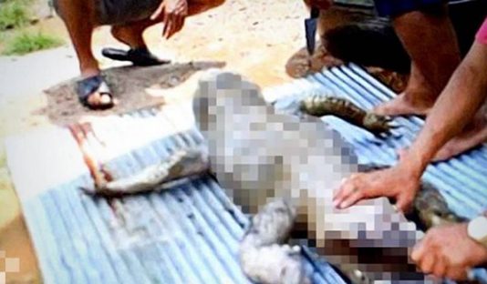 மரணத்தின் பிடியில் இருந்து காப்பாற்றப்பட்ட நபர்! முதலையை பழிக்கு பழி தீர்க்க கிராம மக்கள் செய்த செயல்!!