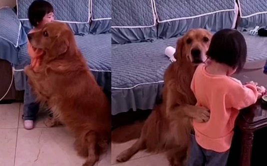 கதறி அழுத சுட்டி தேவதையை கட்டி அனைத்த நாய்! தாய் பாசத்தையும் மிஞ்சிய செயல் : மில்லியன் பேரை நெகிழ செய்த காட்சி!!