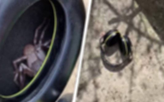 காதுக்குள் கூசிய உணர்வு.. ஹெட்செட்டை கழட்டி பார்த்த இளைஞருக்கு காத்திருந்த அதிர்ச்சி!