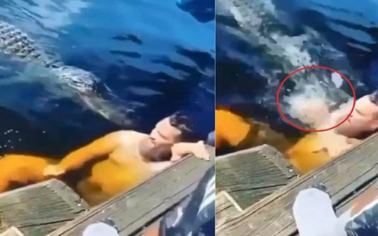 இரண்டு முதலைகளுடன் ஜாலியாக குளித்த நபர்; அதிர்ஷ்டவசமாக உயிர்தப்பிய திக் திக் நிமிடம்!