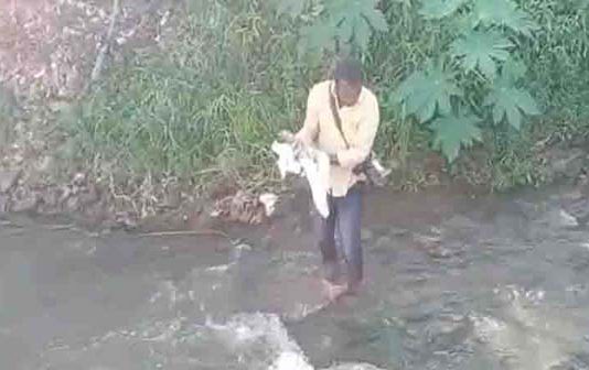 பிறந்து 24 மணி நேரத்திற்குள் ச ட லமாக தண்ணீரில் மி தந்த ஆண் கு ழந்தை !