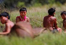 அமேசான் ஆதிவாசிகளையும் விட்டு வைக்காத கொரோனா… அவர்களுக்கு கொரோனாவைப் பரப்பியது யார்?