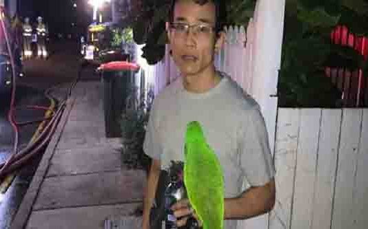 அயர்ந்து தூங்கிய வீட்டுக்காரர்…தீ ப்ப ற்றி எ ரிந்த வீடு; உரிமையாளரை கா ப்பாற்றிய கிளி!