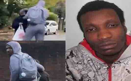 இங்கிலாந்தில் கு ழ ந்தை யை க ட த்த மு ய ன்ற ந ப ர்; பெ ண் ஒ ரு வரி ன் து ணிக ர செ யல் !!