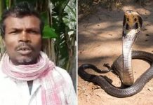 32 ஆண்டுகளாக நபர் ஒருவரை தே டி தே டி ப ழி வா ங்கும் நல்ல பா ம்பு! உ யிர் ப யத்தில் ஓடி ஒளிந்து தவிக்கும் ப ரிதாபம்!!