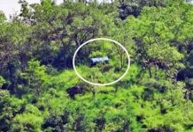 ஒன்லைன் கிளாசுக்கு சிக்னல் கிடைக்காததால் மரத்தின் உச்சியில் இருந்து படிக்கும் மாணவர்கள்!