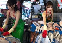 உலகிலேயே அழகான பெண் மீன் வியாபாரி… ஏன் இவர் மீன் வியாபாரம் செய்கிறார் தெரியுமா…? இதனால் இவருக்கு கிடைத்த அதிர்ஷ்டம்