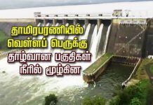 தொடர் கன மழையால் தாமிரபரணி ஆற்றில் வெள்ளப் பெருக்கு..வீடுகளுக்குள் புகுந்த வெள்ளநீர்..!