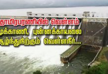 தாமிரபரணியில் வெள்ளம் முக்காணி, புன்னக்காயலை சூழ்ந்துநிற்கும் வெள்ளநீர்!