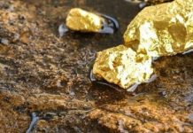 நாட்டின் பல இடங்களில் தங்கம் உள்ளிட்ட அரிய வகை உலோகங்கள் : செல்வந்த நாடாக மாறவுள்ள இலங்கை?