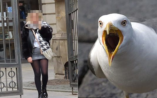 முத்தமிடுவது போல் இளம்பெ.ண் செ.ய்.த ப.ய.ங்.க.ர செ ய ல்: கண் முன்னே பறவை தூக்கிச் சென்ற உறுப்பு!!