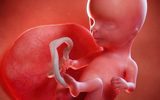 தாயின் தொப்புள் கொடியில் பிளாஸ்டிக்! உலகையே பே ரதி ர்ச்சியில் ஆ ழ் த்திய ஆய்வு!!