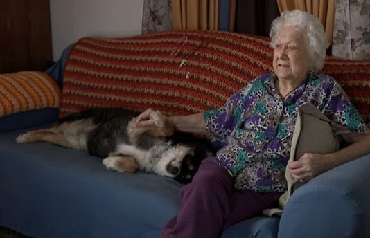 ‘என் காலத்துக்குப் பிறகு அவன் கஷ்டப்படக் கூடாது’- வளர்ப்பு நாய் மீது ரூ. 36 கோடி சொத்துக்களை எழுதி வைத்த அமெரிக்கர்!