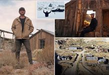 ஆ விகள் நடமாடும் இடத்தை வாங்கிய இளம் தொழிலதிபர்… அங்கிருந்து செல்ல மனமில்லையாம்!