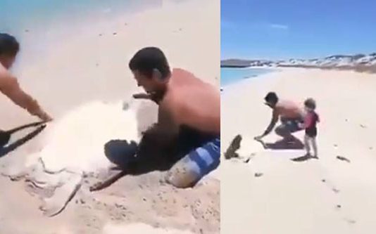 குழந்தையுடன் ப.தறிய டித்து ஓடிய நபரின் நெகிழ்ச்சி செயல்! து டிது.டித்த அரிய உயிரினம்…. இறுதியில் எழுந்து ஓடிய அதிசயம்!!