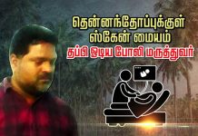 தென்னந்தோப்புக்குள் ஸ்கேன் மையம்; தப்பி ஓடிய போலி மருத்துவர்.. அதிர்ச்சித் தகவல்!!