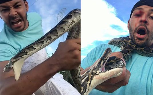 பாம்பு பிடிப்பவரின் கண்ணை பதம் பார்த்த மலைப்பாம்பு: ஒரு திடுக் வீடியோ காட்சி!!