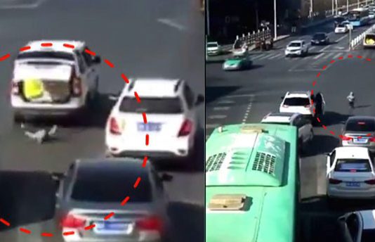 காரில் இருந்து தவறி விழுந்த சிறு குழந்தை உயிர் பிழைத்த காட்சி… வெளியான சிசிடிவி காட்சி!!