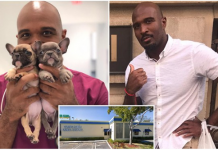 நாய்களுக்கு பா.லி.யல் சி.த்.திரவதை கொடுத்து ப டம் பி டித்துவந்த ம ரு த்துவர்!! அதன் பின் காத்திருந்த அ திர்ச்சி!!