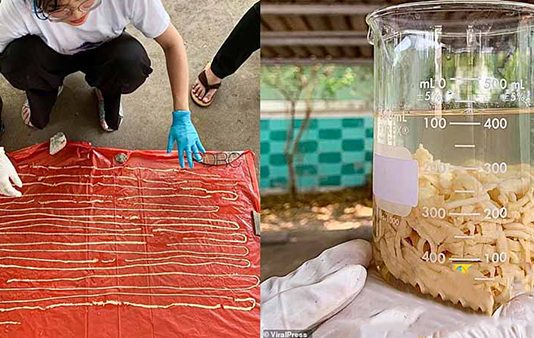 இறைச்சியில் இருந்து பரவிய வினோத நோய்! அ தி ர்ச்சியளிக்கும் தகவல்!!