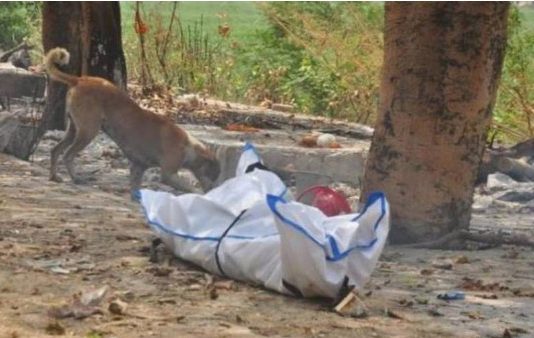 கொரோனாவால் இ.றந்தவரின் உ.டலை க.டித்து கு.த.றி மு.கத்தை சி.தைத்த நாய் : கண்ணீர் விடும் உறவினர்கள்!!