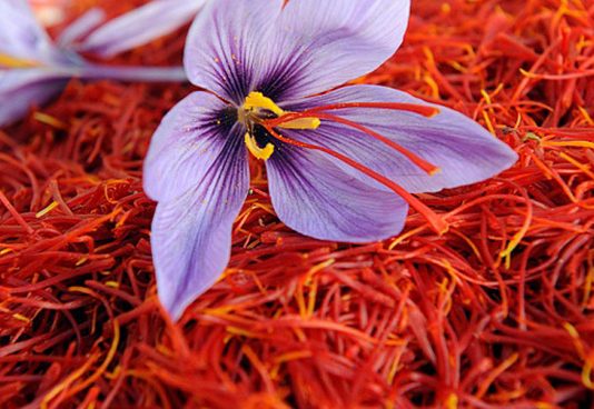 எடையை குறைத்து சருமத்தை ஜொலிக்க வைக்கும் குங்குமப்பூ நீர்! எப்படி எடுத்து கொள்ள வேண்டும் தெரியுமா?