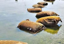 கடலில் வரிசையாக கரையொதுங்கிய மூட்டைகள்… உள்ளே இருந்தது என்ன தெரியுமா?