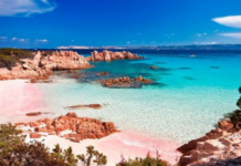 32 ஆண்டுகளாக தனி ஆளாய் ஒரு தீவை பாதுகாத்து வரும் மனிதர்! திடீரென்று காத்திருந்த அ திர்ச்சி!!