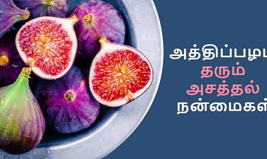 தினசரி இரண்டு அத்திப்பழங்களை சாப்பிட்டு வருவதால் கிடைக்கும் நன்மைகள் என்ன தெரியுமா?