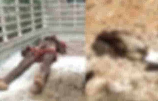 ஜெலட்டின் கு.ச்.சிகள் வெ.டி.த்.து 10 தொழிலாளர்கள் ப.லி : லாரியில் இருந்து இ.ற.க்.கி.ய போது வி.ப.ரீதம்!!