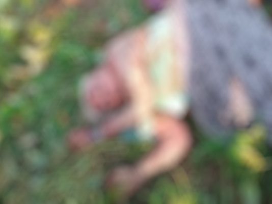 யானை தா.க்.கி பெண் பரிதாப ம.ர.ணம் – வனத்துறை நடவடிக்கை எடுக்க கோரிக்கை!!