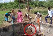 பாட்டிக்கு ஆயுசு கெட்டி : கிணற்றில் விழுந்த 70 வயது மூதாட்டி உயிருடன் மீட்பு!!