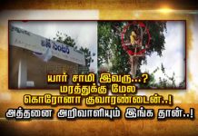 யார் சாமி இவரு…? மரத்துக்கு மேல கொரோனா குவாரண்டைன்..! அத்தனை அறிவாளியும் இங்க தான் வீடியோ காட்சி!