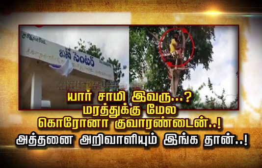 யார் சாமி இவரு…? மரத்துக்கு மேல கொரோனா குவாரண்டைன்..! அத்தனை அறிவாளியும் இங்க தான் வீடியோ காட்சி!