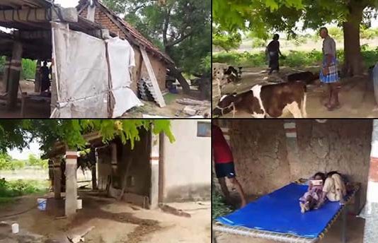 கொரோனா தொற்று அச்சத்தால் ஊரை விட்டு வெளியேறி விவசாய தோட்டத்தில் தற்காலிக வீடு அமைத்த கிராம வாசிகள்..!
