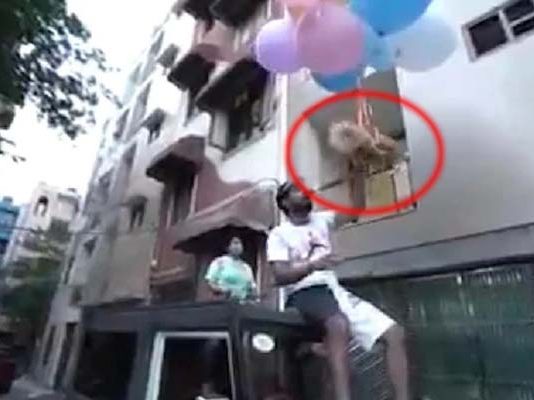 ஹீலியம் பலூனில் நாயை கட்டி பறக்கவிட்ட நபர்… காணொளியால் நபருக்கு கிடைத்த ஆப்பு !!