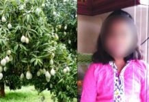 மாம்பழம் பறிக்க சென்ற 6 வயது சிறுமிக்கு நேர்ந்த கொ.டூ.ரம் !!