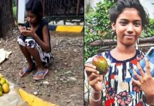 12 மாம்பழத்தை ரூ.1.20 லட்சத்திற்கு விற்ற சிறுமி : எப்படி தெரியுமா?