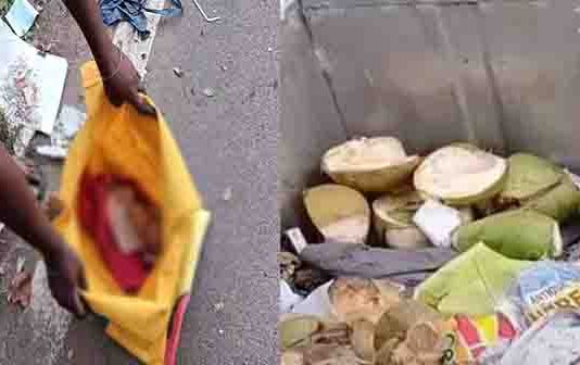 குப்பை தொட்டியில் கிடந்த பச்சிளம் கு.ழந்தை : வீசிச் சென்ற மூதாட்டி!!
