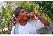 நாகப் பாம்பை பிடித்த உலகின் பாம்பு மனிதன் : அதீத நம்பிக்கையால் நடந்த விபரீதம்!!