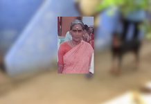 செயின் பறிக்க முயற்சி கத்தி கூச்சலிட்ட மூதாட்டி : நொடிப்பொழுதில் அரங்கேறிய பயங்கரம் !!