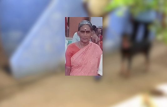செயின் பறிக்க முயற்சி கத்தி கூச்சலிட்ட மூதாட்டி : நொடிப்பொழுதில் அரங்கேறிய பயங்கரம் !!