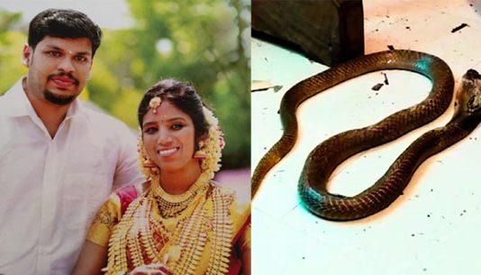 வி.ஷ.ப்.பா.ம்.பை ஏவி ம.னைவியை கொ.ன்.ற கணவன் : நாட்டையே உலுக்கிய வழக்கில் நீதிமன்றம் அதிரடி தீர்ப்பு!!