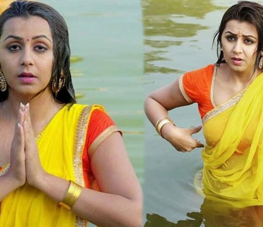 கர்ச்சீப்பை கட்டிக்கொண்டு கடற்கரையில் கவர்ச்சி போஸ் கொடுத்த நிக்கி கல்ராணி!!